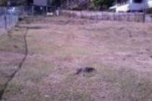 New Home on Vacant Lot- Before