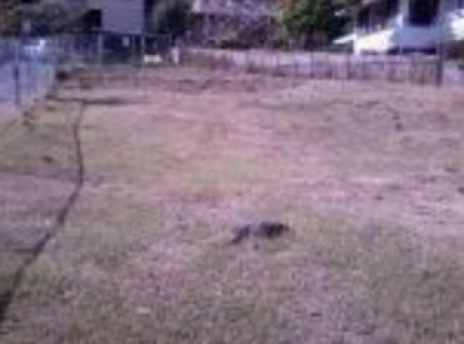 New Home on Vacant Lot- Before